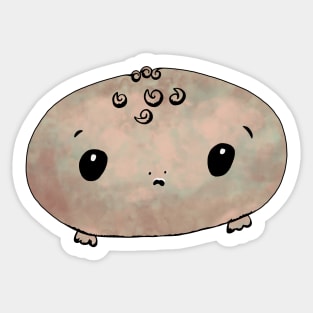 Baby Desert Rain Frog Sticker